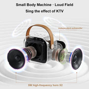 K12 Karaoke Machine Portable 5.3 PA Speaker System with 2 Wireless Microphones