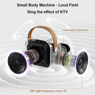K12 Karaoke Machine Portable 5.3 PA Speaker System with 2 Wireless Microphones