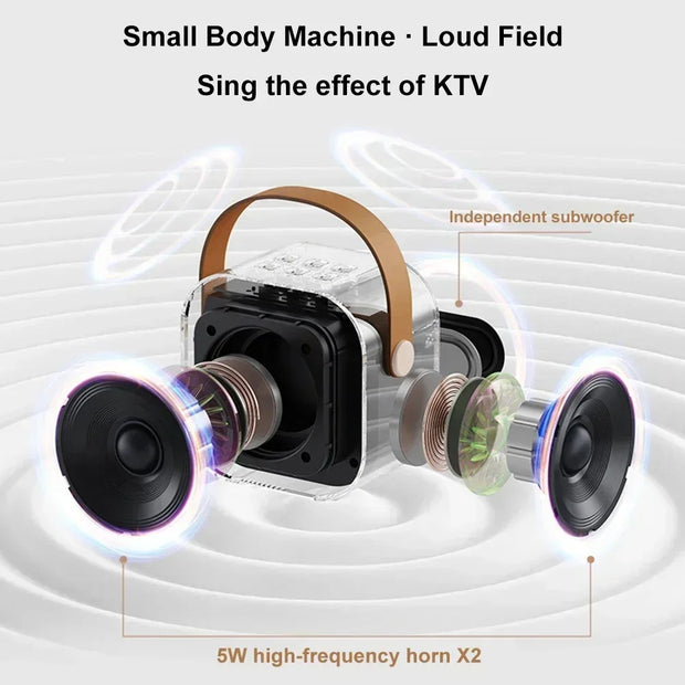 K12 Karaoke Machine Portable 5.3 PA Speaker System with 2 Wireless Microphones