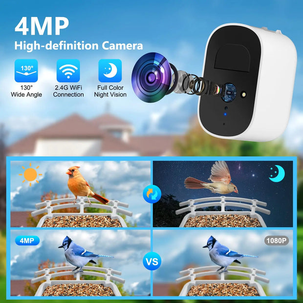 Smart Bird Feeder with Camera