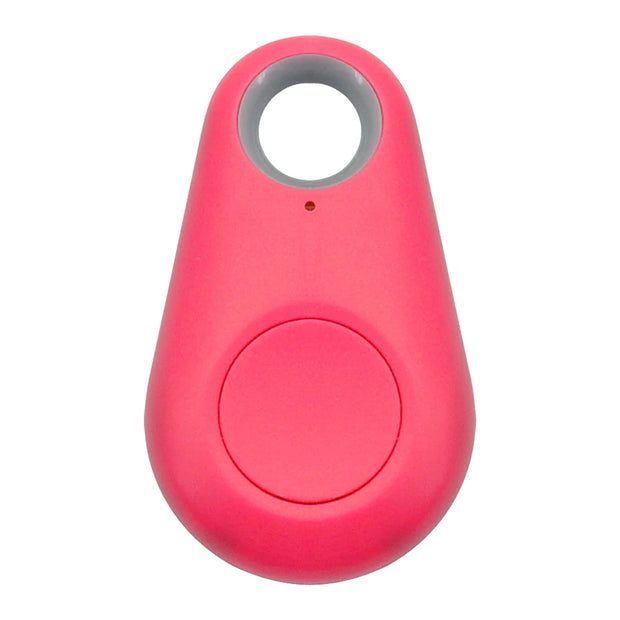 Pet Smart GPS Tracker