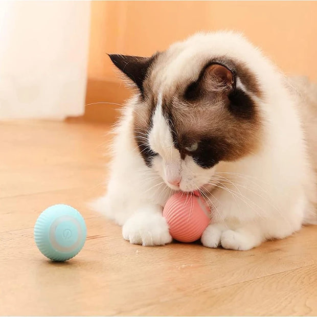 Electric Smart Dog Ball