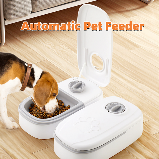 Automatic Timer Feeder